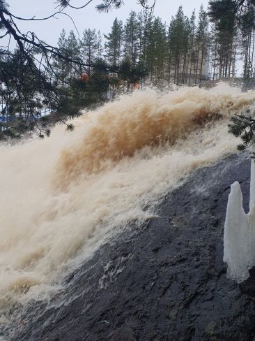 КАРЕЛИЯ+КАНИКУЛЫ В САНКТ-ПЕТЕРБУРГЕ.