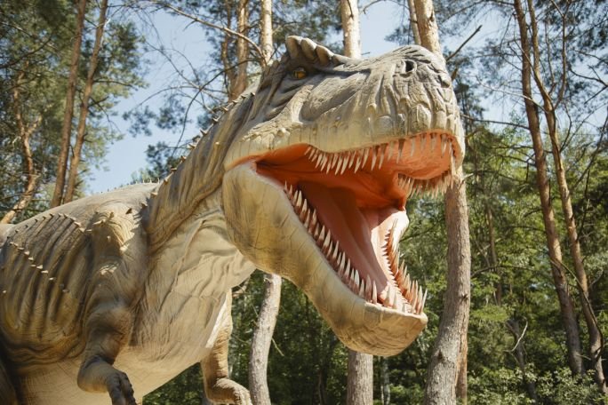 Детская яркая экскурсия в Мир Динозавров - Динопарк и в Зоопарк (г. Белгород) + Экскурсия по г.Белгород + Аквариум