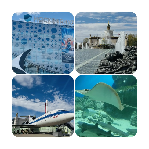 МОСКВА - НОВОГОДНИЙ МОСКВАРИУМ 
